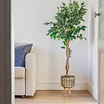 Le Paladium Apartment